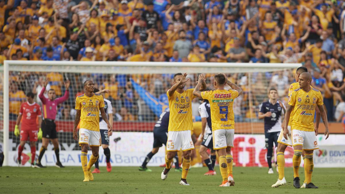 Tigres