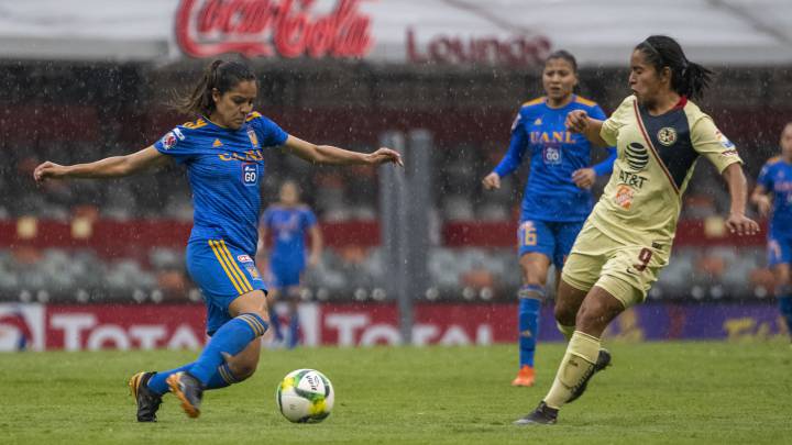 De acuerdo con un reporte realizado por Consulta Mitofsky, a dos años de su creación, la Liga MX Femenil es más seguida por hombres que por mujeres.
