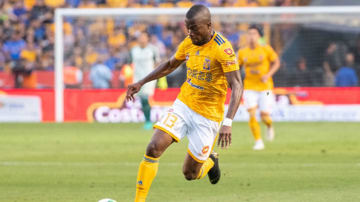 Tigres