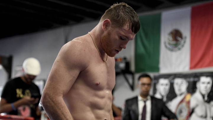 Canelo Álvarez en el ring