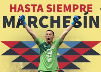 Los títulos y números que alcanzó Marchesín en América