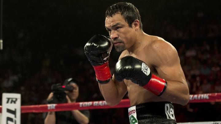 Juan Manuel Márquez concentrado durante un combate.