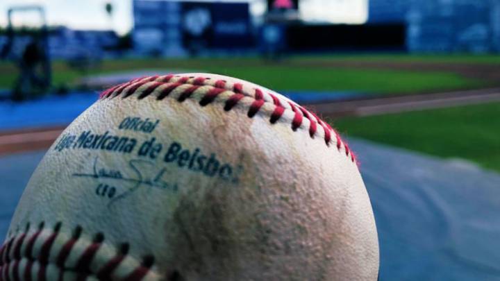 Gabriel Medina, presidente interino de la LMB