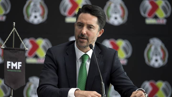 Yon De Luisa, presidente de la Federación Mexicana de Fútbol