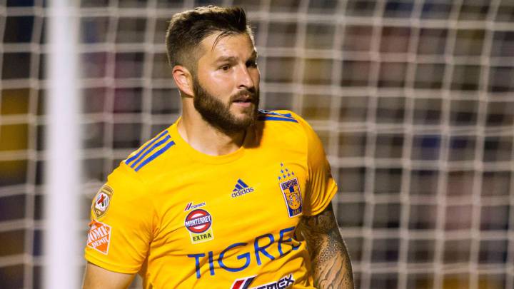 Damián Torres: "Gignac es explosivo, pero buena persona"