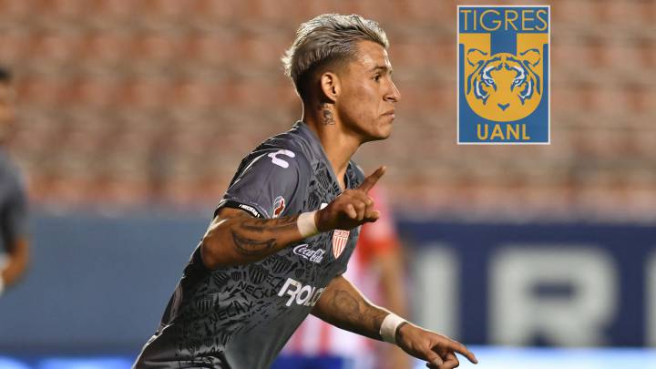 'Tuca' Ferretti y Tigres irán por Cristian 'Chicote' Calderón