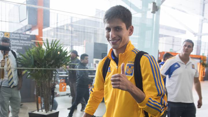 Tigres