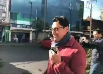 Reportero describe con humor caída de un árbol sobre su auto
