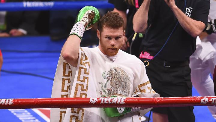 Saúl 'Canelo' Álvarez fue elegido como el boxeador del año por la BWAA