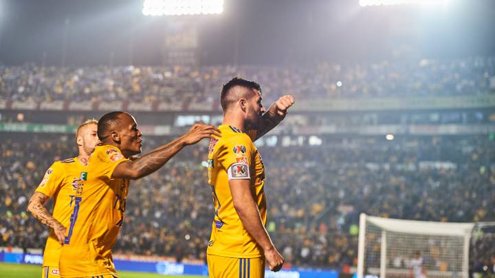 Tigres Atlas