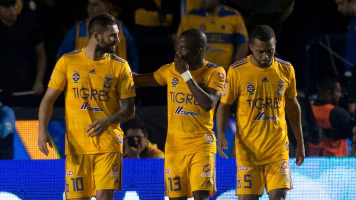 Tigres, con más probabilidades de ser campeón que América y Cruz Azul