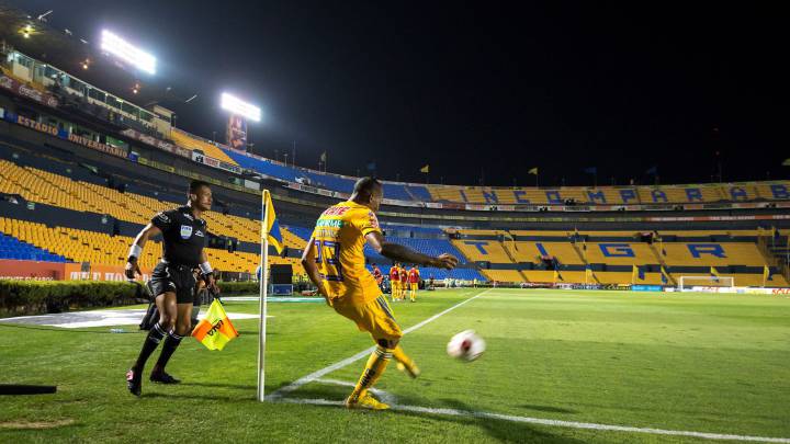 Tigres