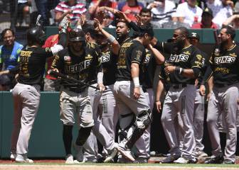 Liga Mexicana de Beisbol aplaza inicio de temporada 2020