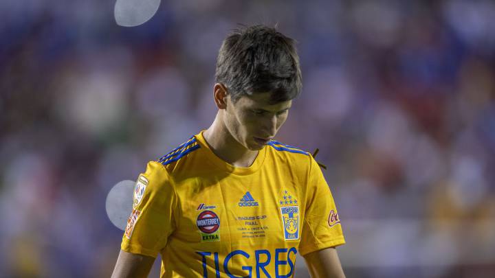 Jürgen Damm, Tigres