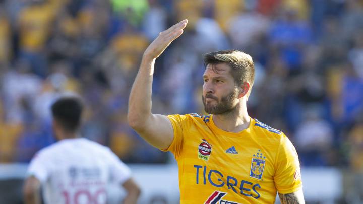 Tigres Necaxa