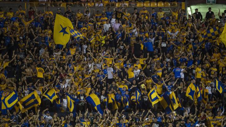 Tigres