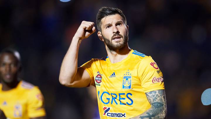 André-Pierre Gignac, Tigres