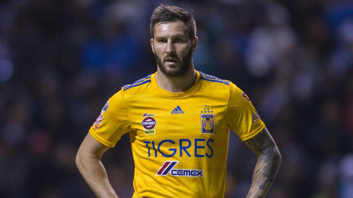 André-Pierre Gignac, Tigres