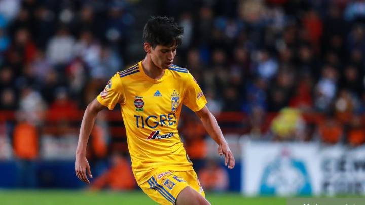 Damn Tigres