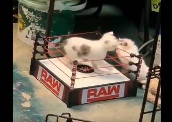 ¡Esta es la eliminación más tierna y tracionera en la historia del Royal Rumble!