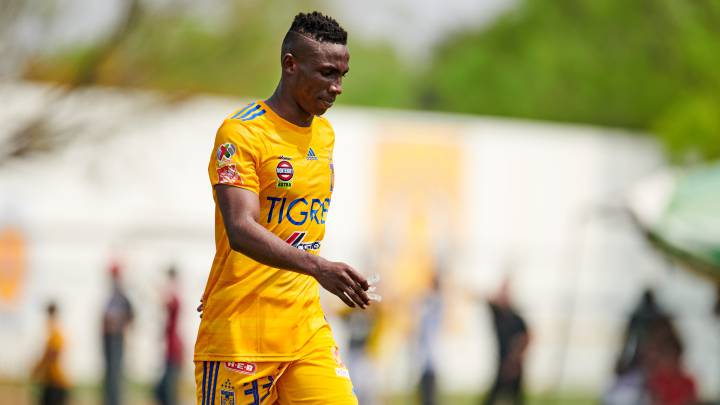 Julián Quiñones, Tigres