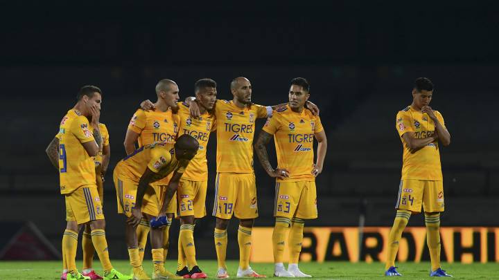 Tigres Coronavirus