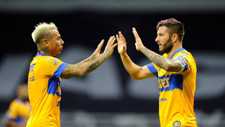 Tigres