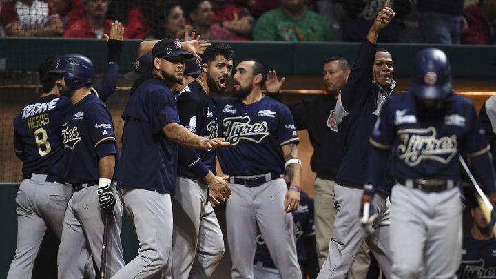 Tigres seguirán siendo de Quintana Roo para la temporada 2021 de LMB