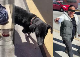 Lady Semáforo Rojo aparece en Durango y crea polémica en redes sociales