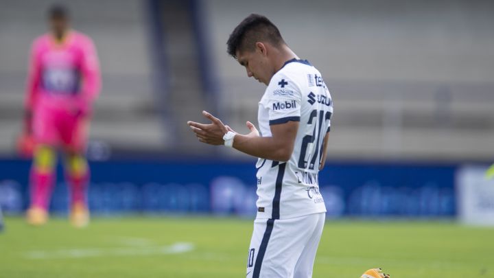 Montejano Pumas