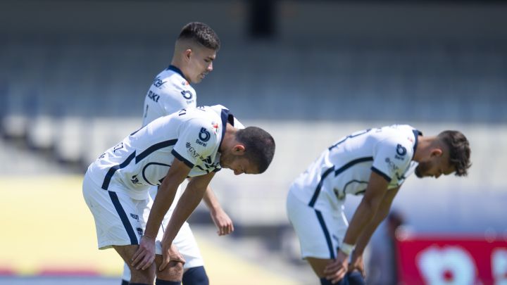 Pumas