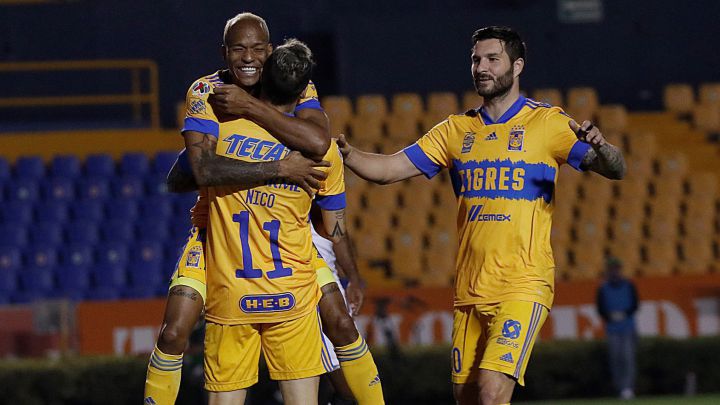 Tigres Xolos