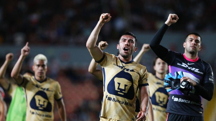 Pumas