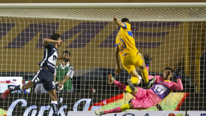 Pumas Tigres