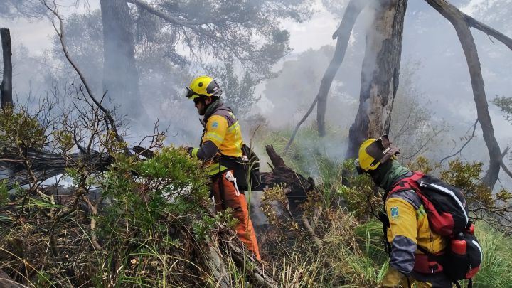 Hay 106 incendios forestales activos en México