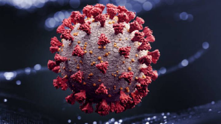 Coronavirus en México hoy 1 de mayo: Últimas noticias, casos y muertes