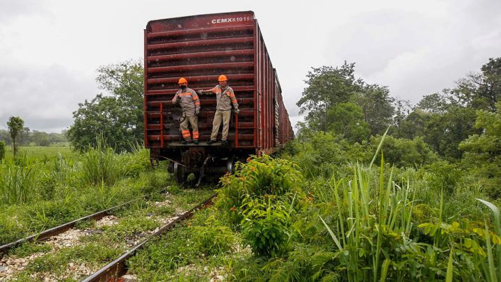 Gobierno Federal tiene 348 plazas para trabajar en el Tren Maya