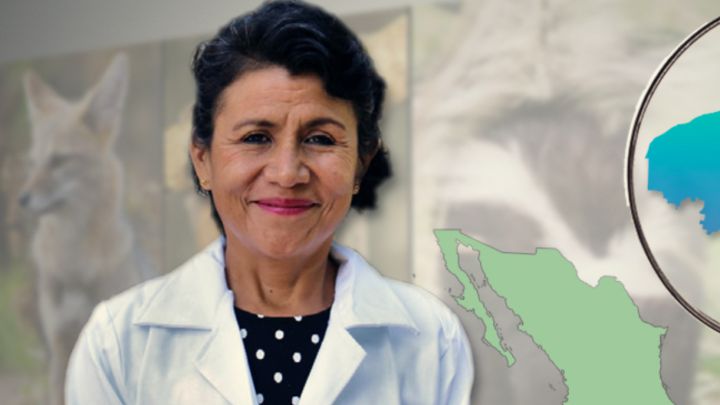 EU premia a académica de la UNAM por investigación sobre virus en animales silvestres