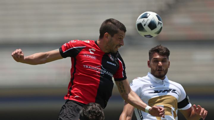 Pumas