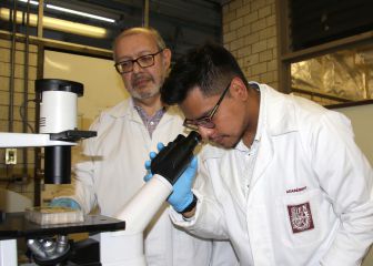 Científicos del IPN descubren biomarcador para posible detección temprana de cáncer