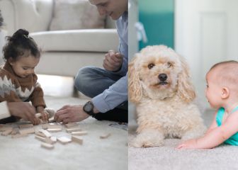 ¿Cómo limpiar alfombras? Productos y remedios caseros para combatir las manchas y malos olores