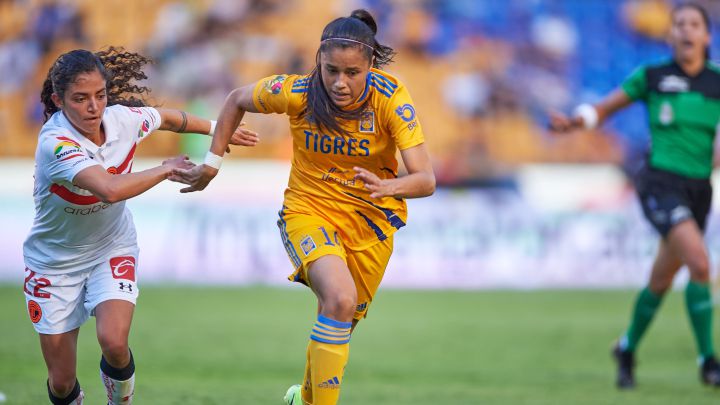 Ovalle Tigres
