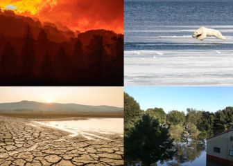 OMM alerta por fuertes tormentas, sequías e inundaciones en el mundo