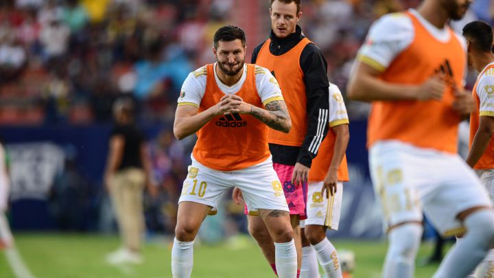 Tigres Gignac