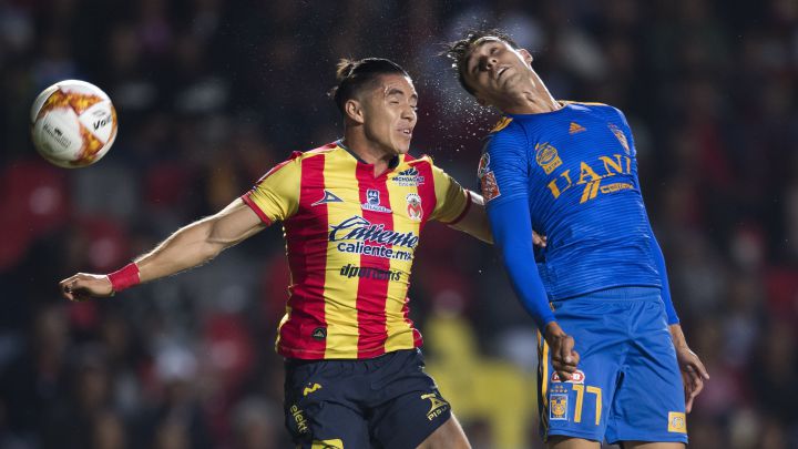 Morelia Tigres multa