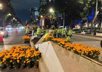 Flores de cempasúchil adornan avenidas de la CDMX por Día de Muertos