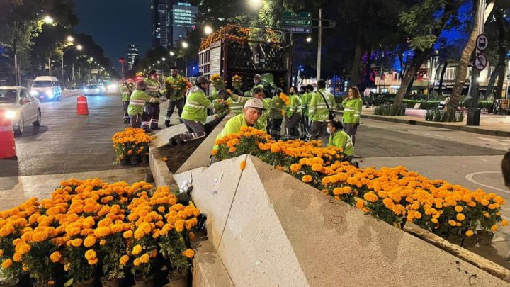 Flores de cempasúchil adornan avenidas de la CDMX por Día de Muertos
