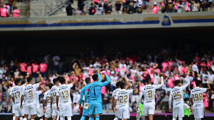 Pumas afición