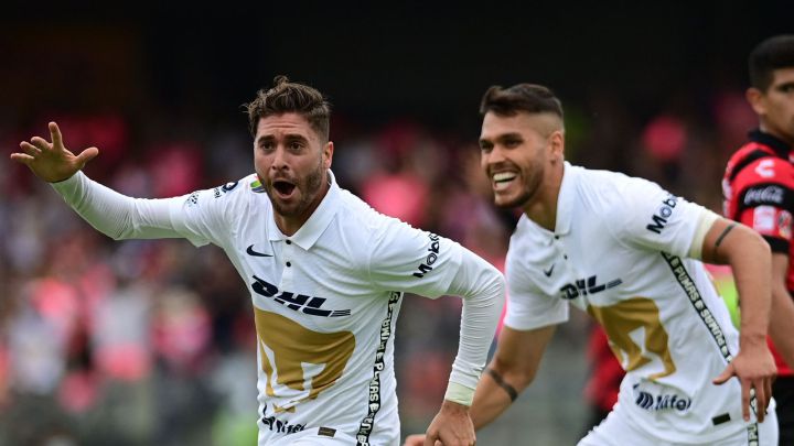 Pumas