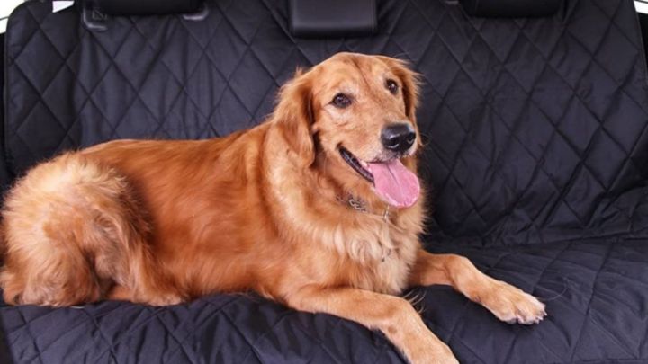 protector de coche
